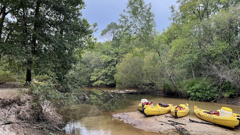 Canoeyre