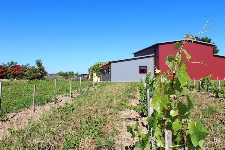 Domaine des Bourrats