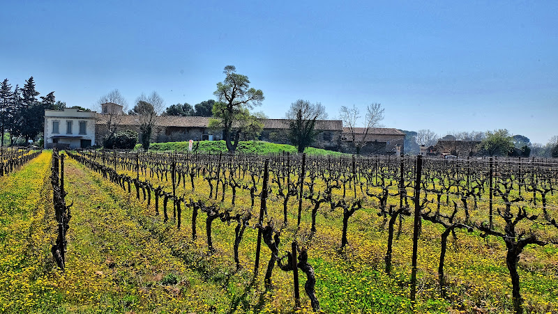 Château de Fourques vignoble et œnotourisme