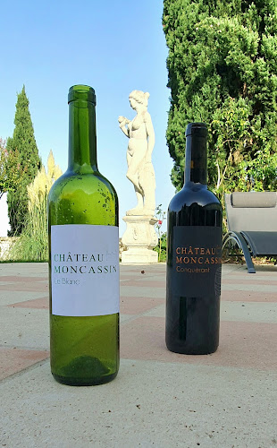 CHATEAU MONCASSIN