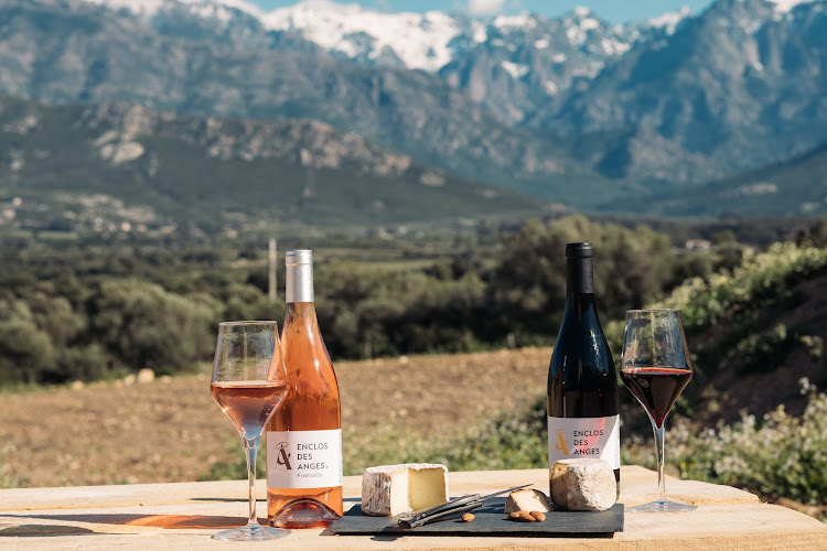 Domaine L'Enclos des Anges