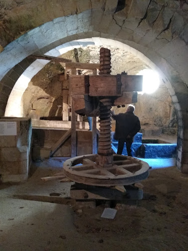 Domaine du Vieux Bourg: Gîte Vente de vin salle de récéption Oenotourisme ( Saumur- Maine et Loire )