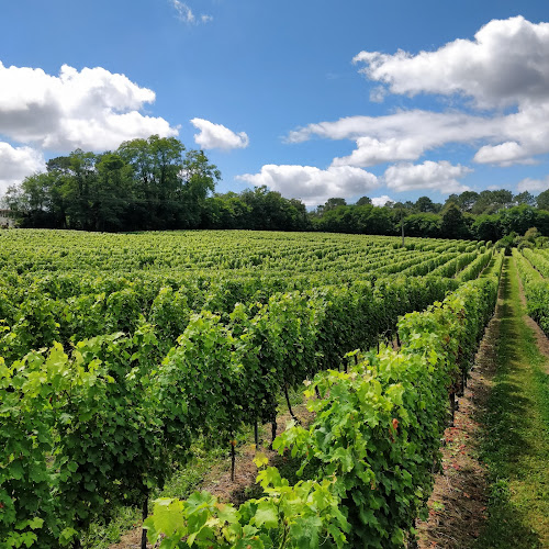 Domaine du Tastet