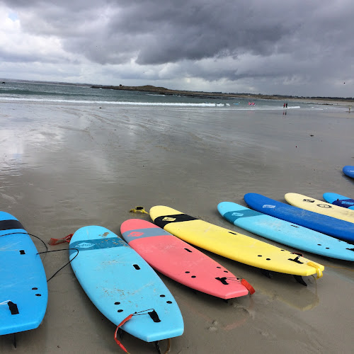 29Hood Surfclub