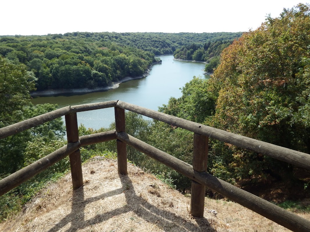 Forêt de Vouvant