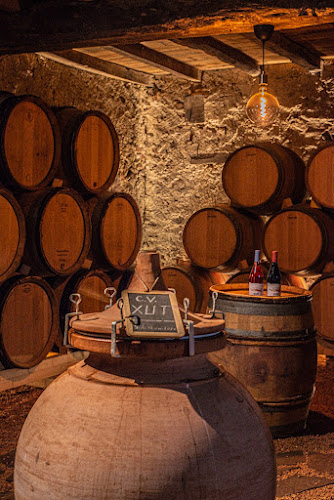Domaine Etxondoa