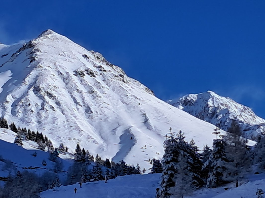 Forêt de Barèges