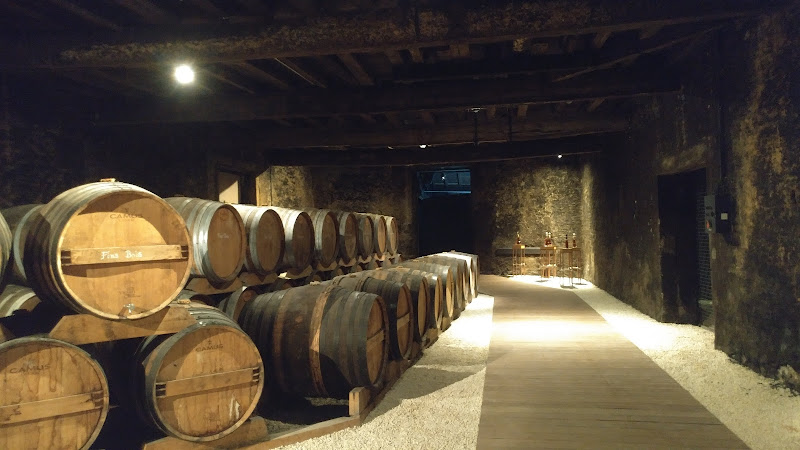 Camus Cognac - Visites / Visitor Center