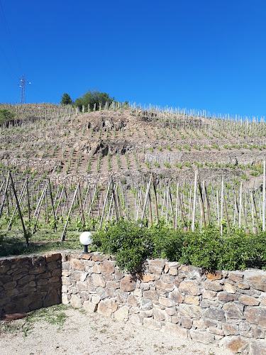 DOMAINE CHRISTOPHE SEMASKA