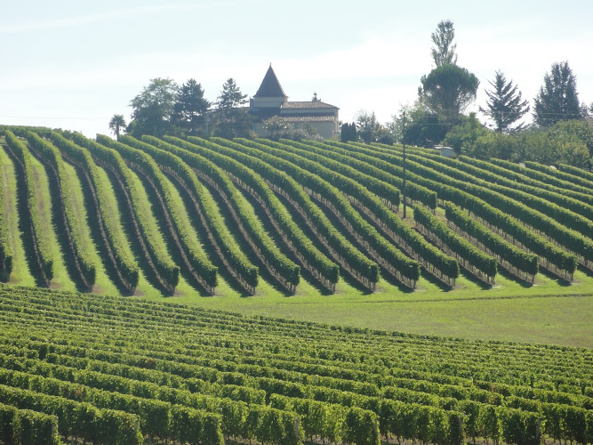 Domaine Les Bertins