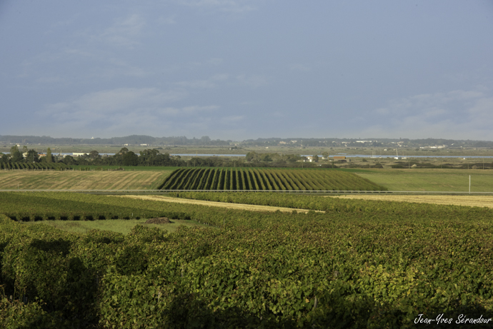 Domaine des claires