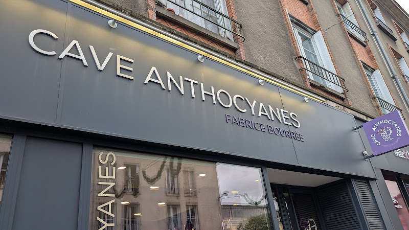 Cave Anthocyanes - Bourrée Fabrice