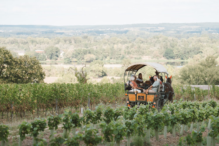 LANGLOIS | Boutique - Dégustation - Visites des Caves