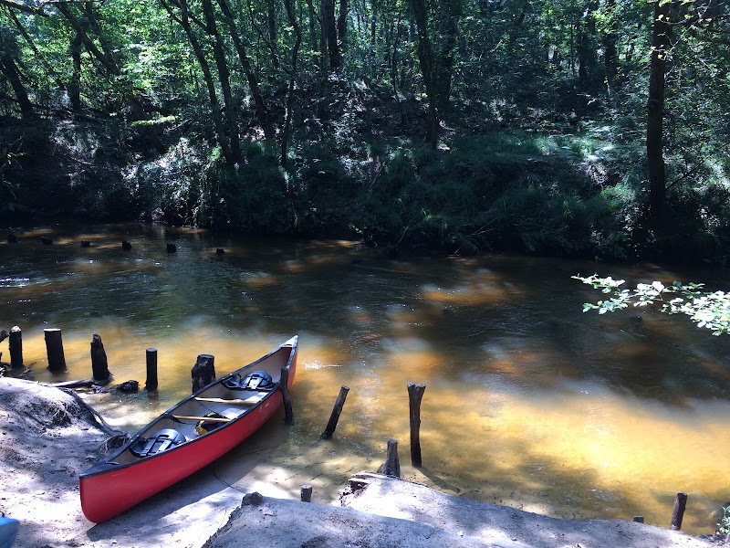 ALOKANOE canoës kayak sur la Leyre