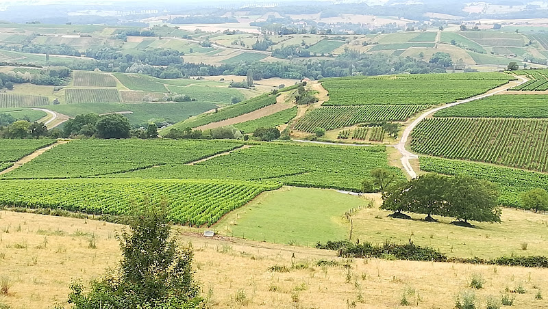 DOMAINE DÉSIRÉ PETIT