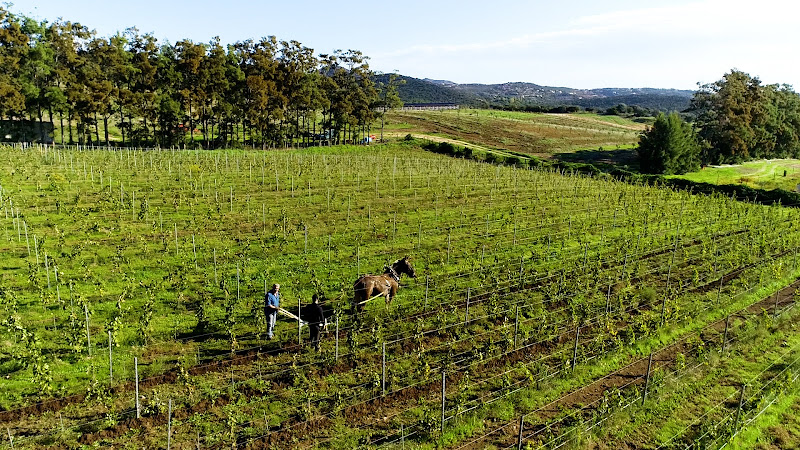 Domaine Zuria