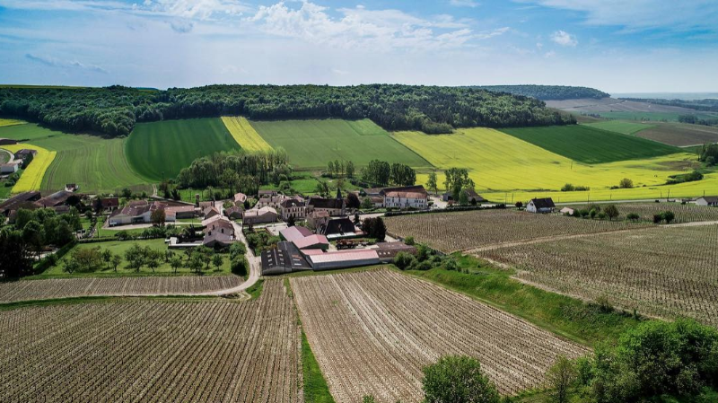Champagne Gilles Leseurre