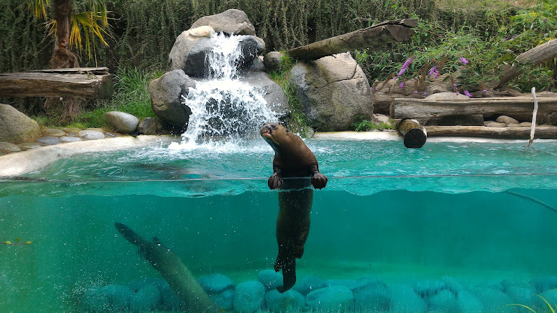 Parc Animalier des Pyrénées