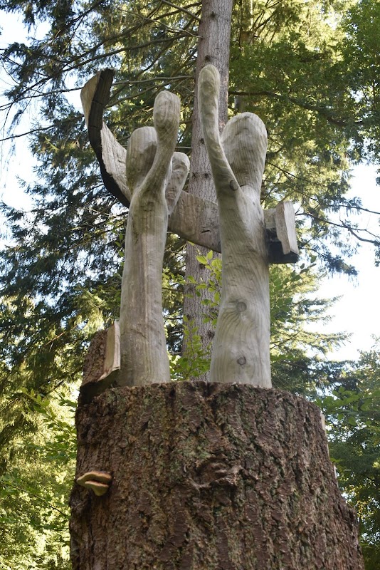 Forêt de Crécy - Circuit du Chêne de Bréau