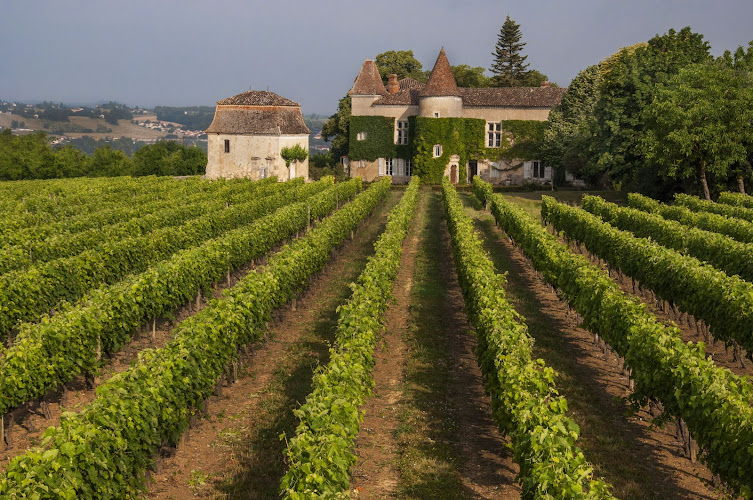 Domaine du Frandat | AOC Buzet, Vins BIO, Floc de Gascogne et Armagnac | Oenotourisme