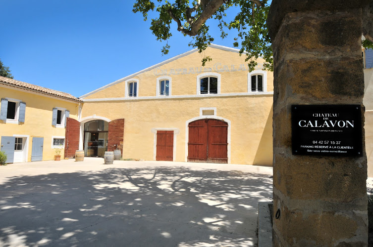 Château de Calavon