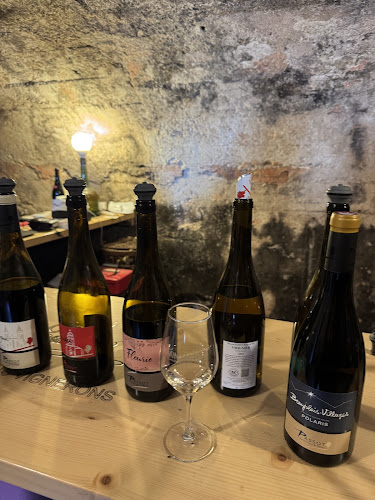 Domaine PASSOT Rémy & Fils - Exploitation familiale - Dégustation et Mâchon Beaujolais