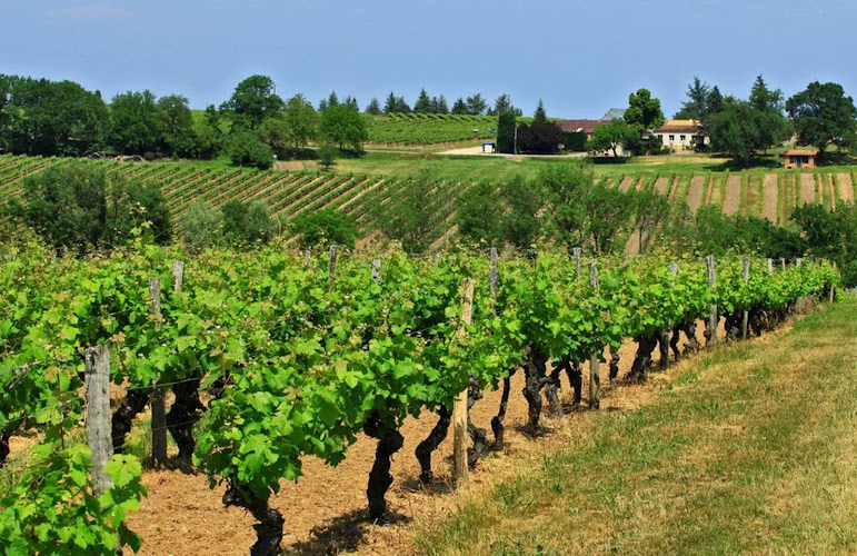 Domaine de Grange Neuve
