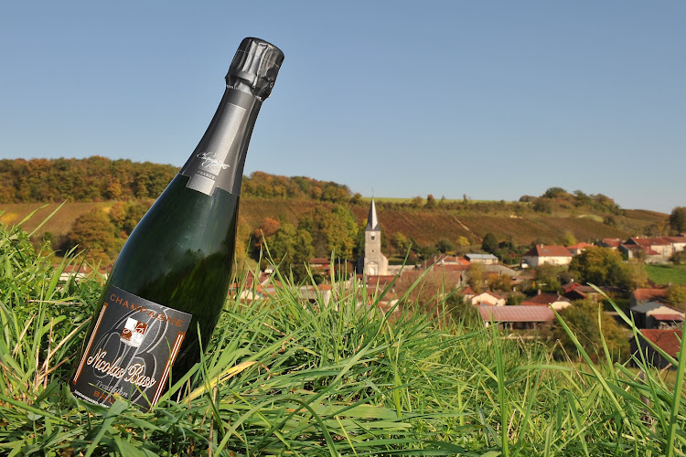 Champagne Nicolas Bass
