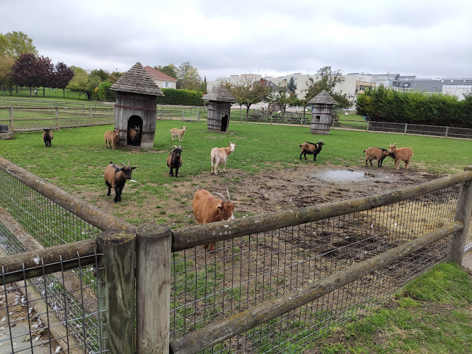 Open Farm Gally