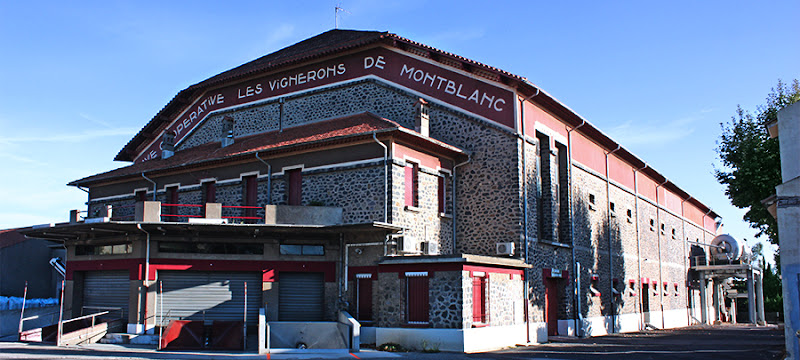 Cave Coopérative de Vinification