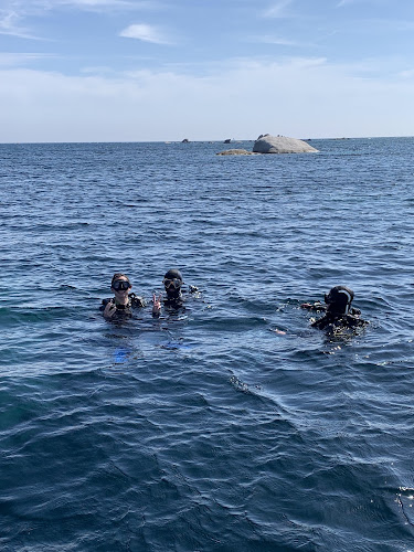 Pianottoli Diving