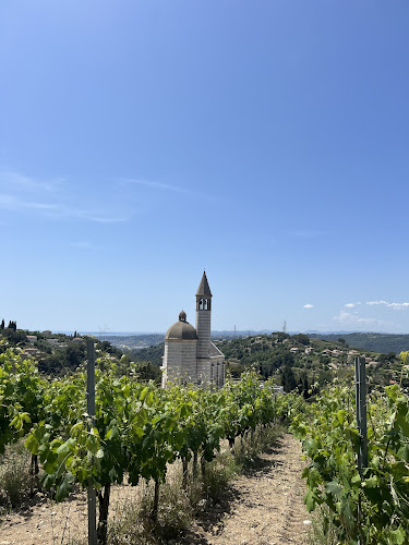 Wine Tasting in Nice