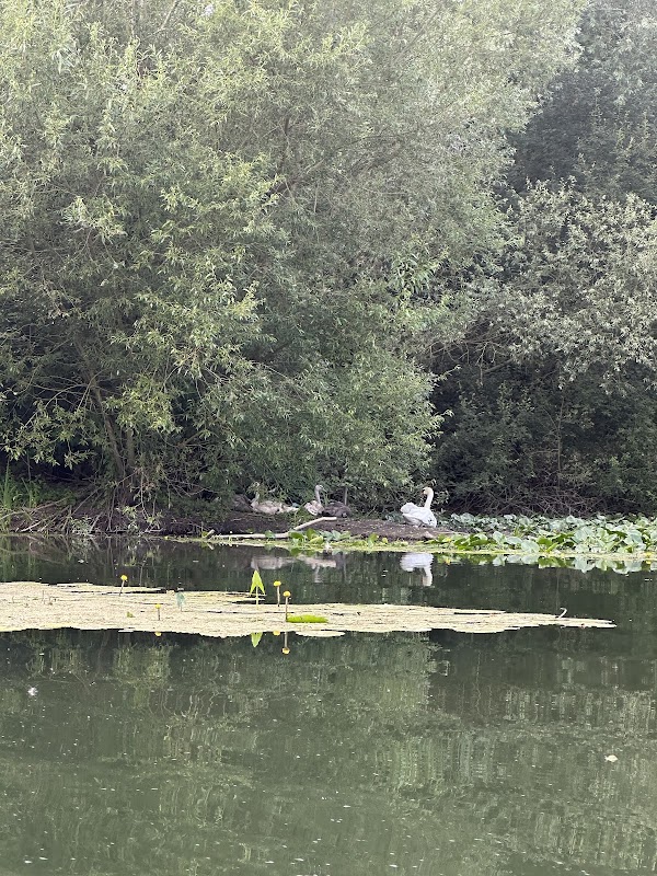 Canoë Loire Loing