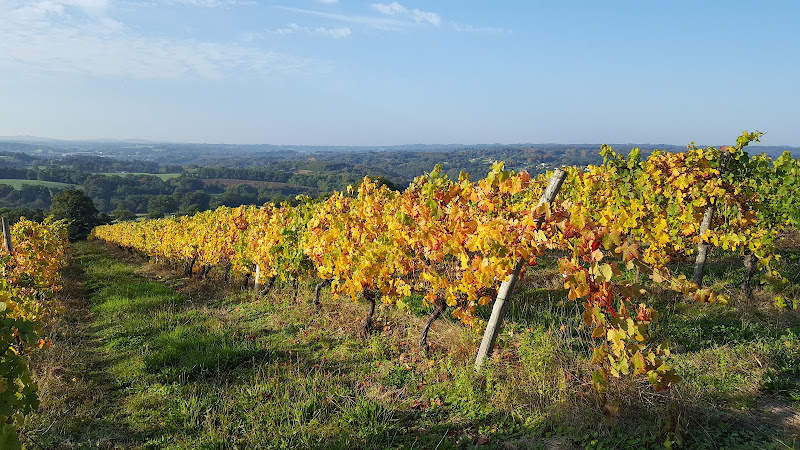 Domaine des Gabies
