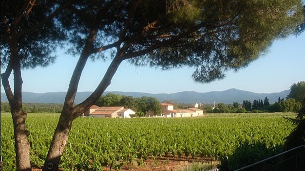Chateau Paradis Le Luc en Provence