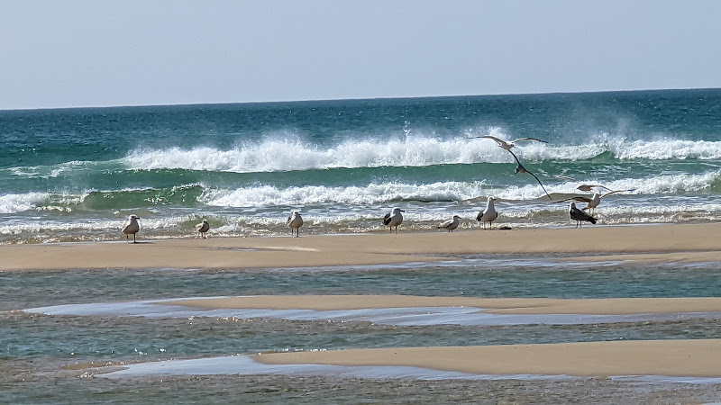 Plage d'Hatainville