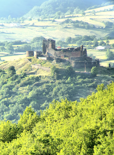 Château de Calmont d'Olt