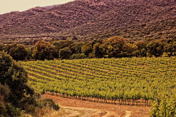 Domaine de Tanella