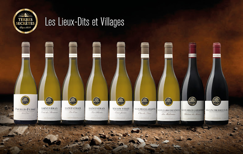 Vignerons des Terres Secrètes - Cave de Prissé