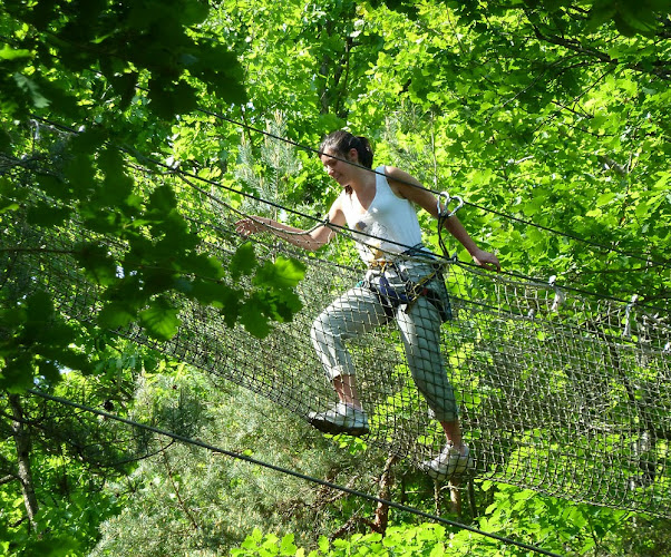 Accrobranche L'Appel de la Forêt Parcours Aventure Dordogne