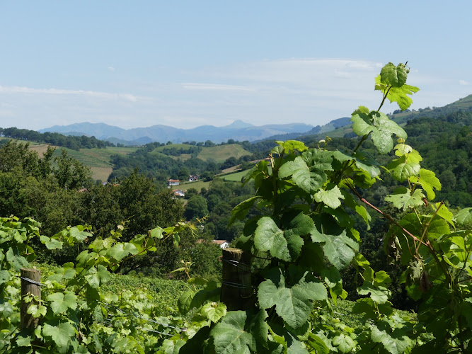 Domaine GUTIZIA