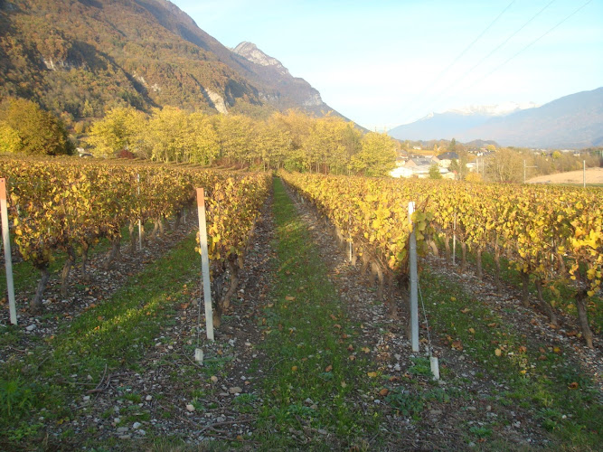 Vin de Savoie - Domaine de Lorbert