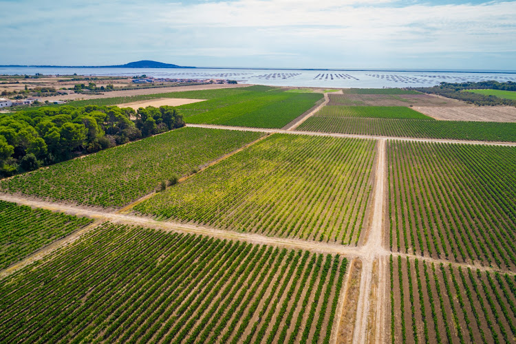 Domaine de Belle Mare