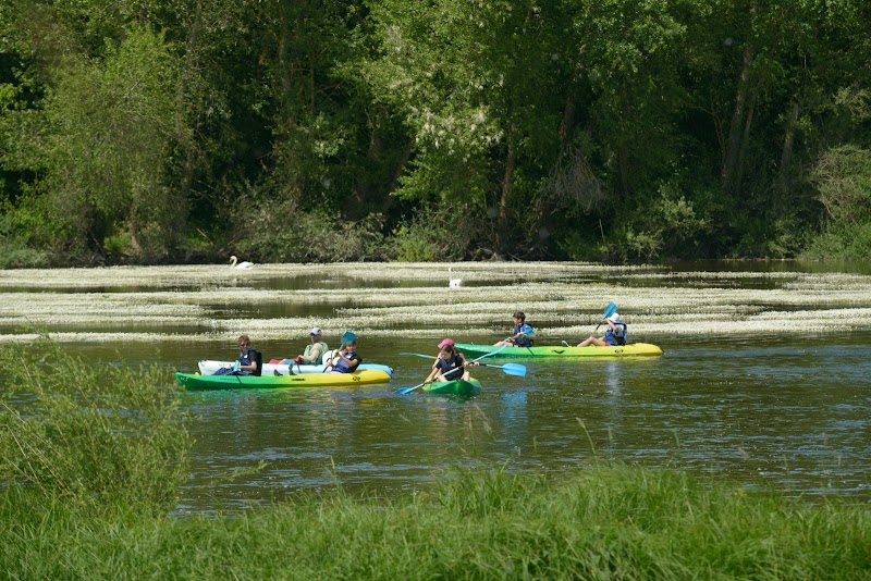Pagaies de loire