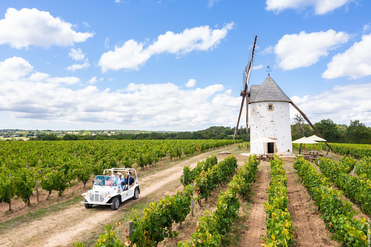 Vignobles Mourat
