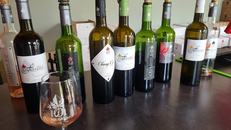 Vignerons de Branceilles 1001 pierres
