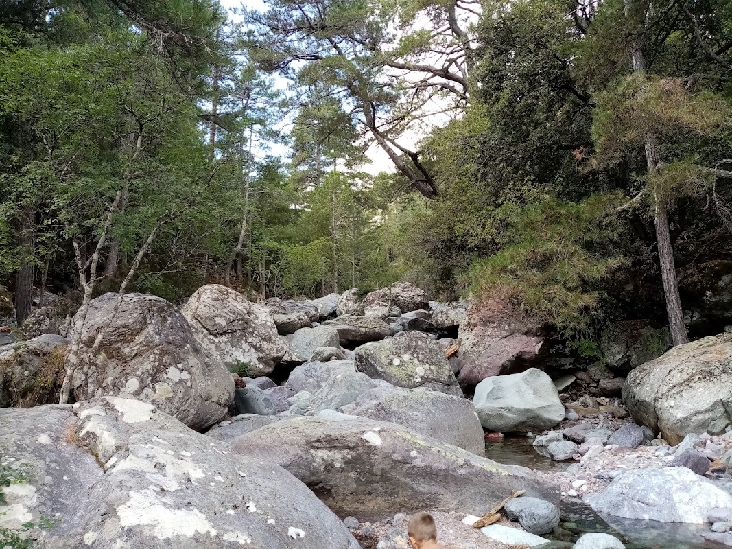 Forêt de Tartagine-Melaja