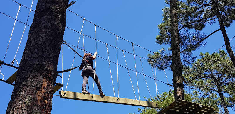 Accrobranche - Evolution 2 Anglet
