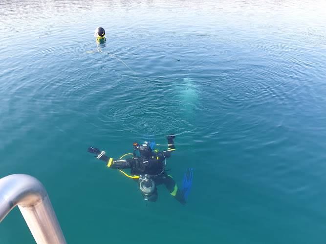Lac de Beaumont sur Oise (réservé aux adhérents FFESSM) PROPRIETE PRIVE