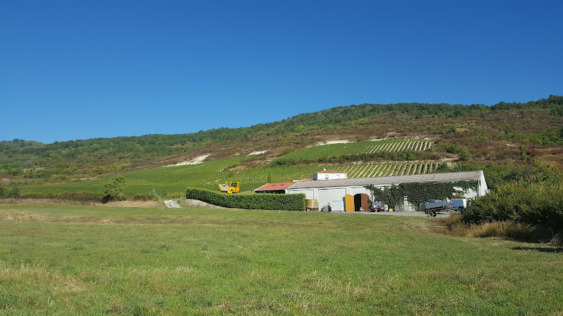 Domaine Pierre Goigoux